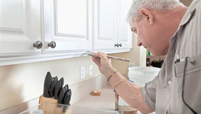How to Paint Your kitchen Cabinets